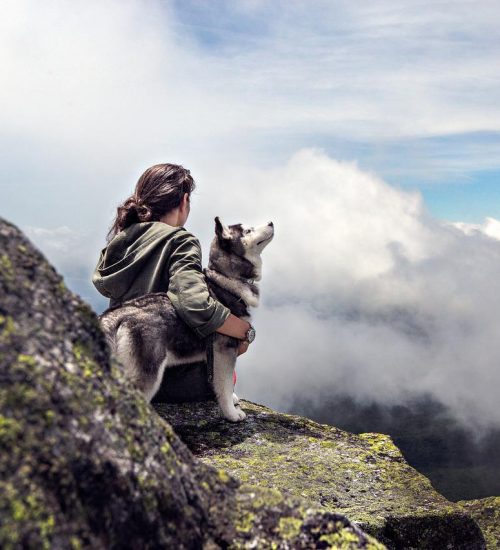 sky-mountain-dog-human